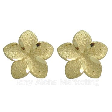 ハワイアンジュエリー Earring 14K – Laule'a Waikiki
