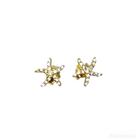 Starfish Earrings