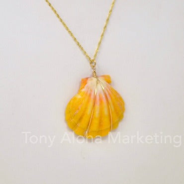 ハワイアンジュエリー サンライズシェル トップ sunrise shell – Laule'a Waikiki